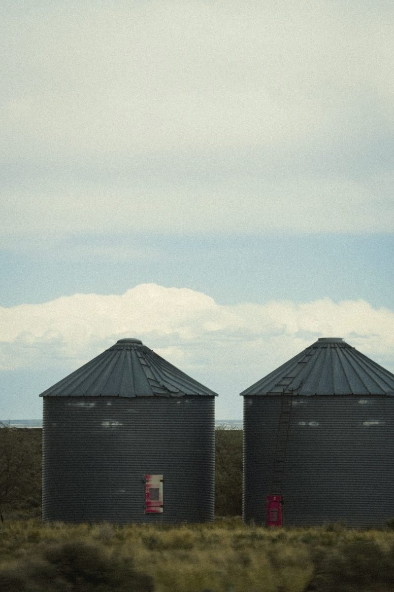 Two dark grain bins against a pale sky above tall grass